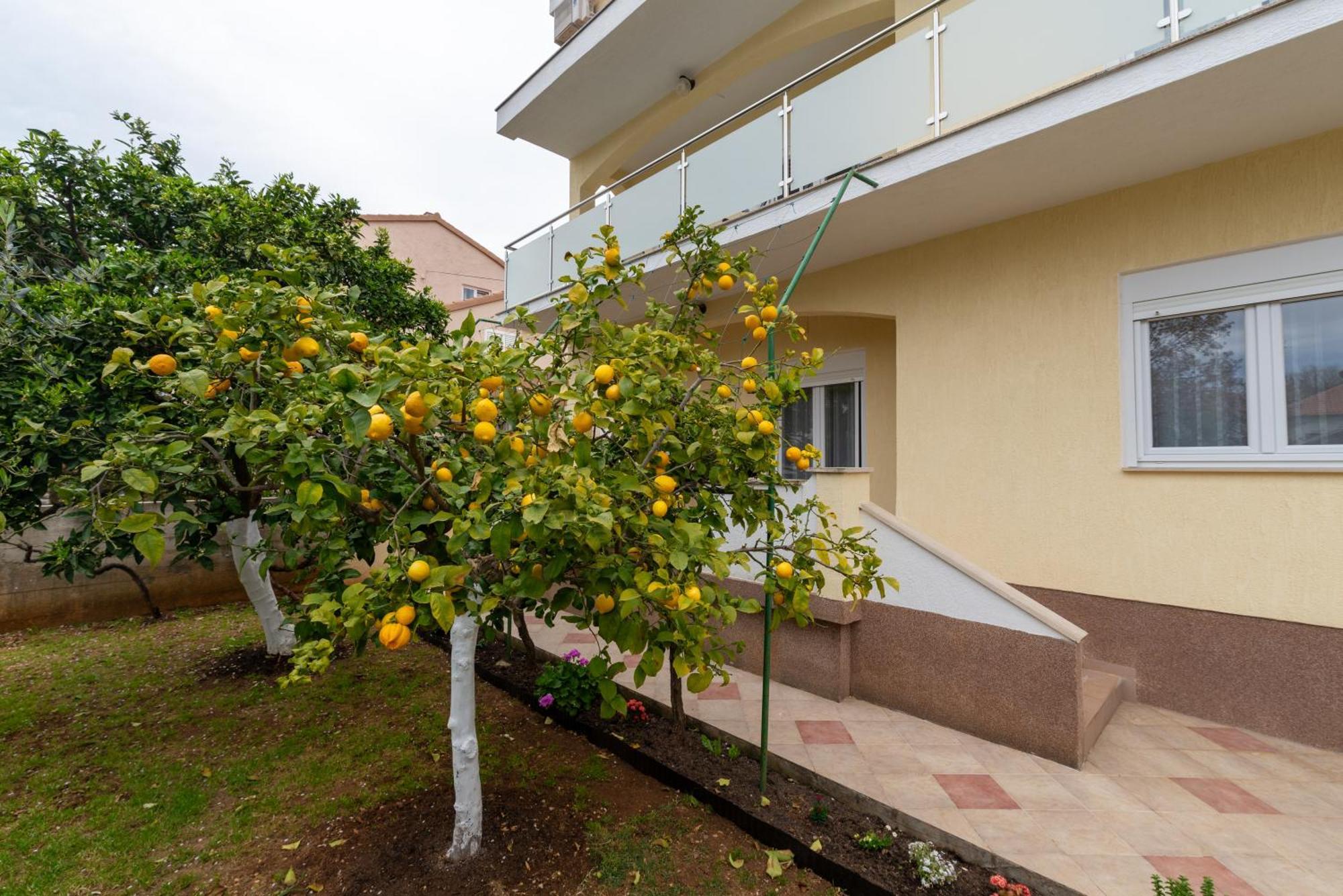 Villa K&F Borik Zadar Exterior foto
