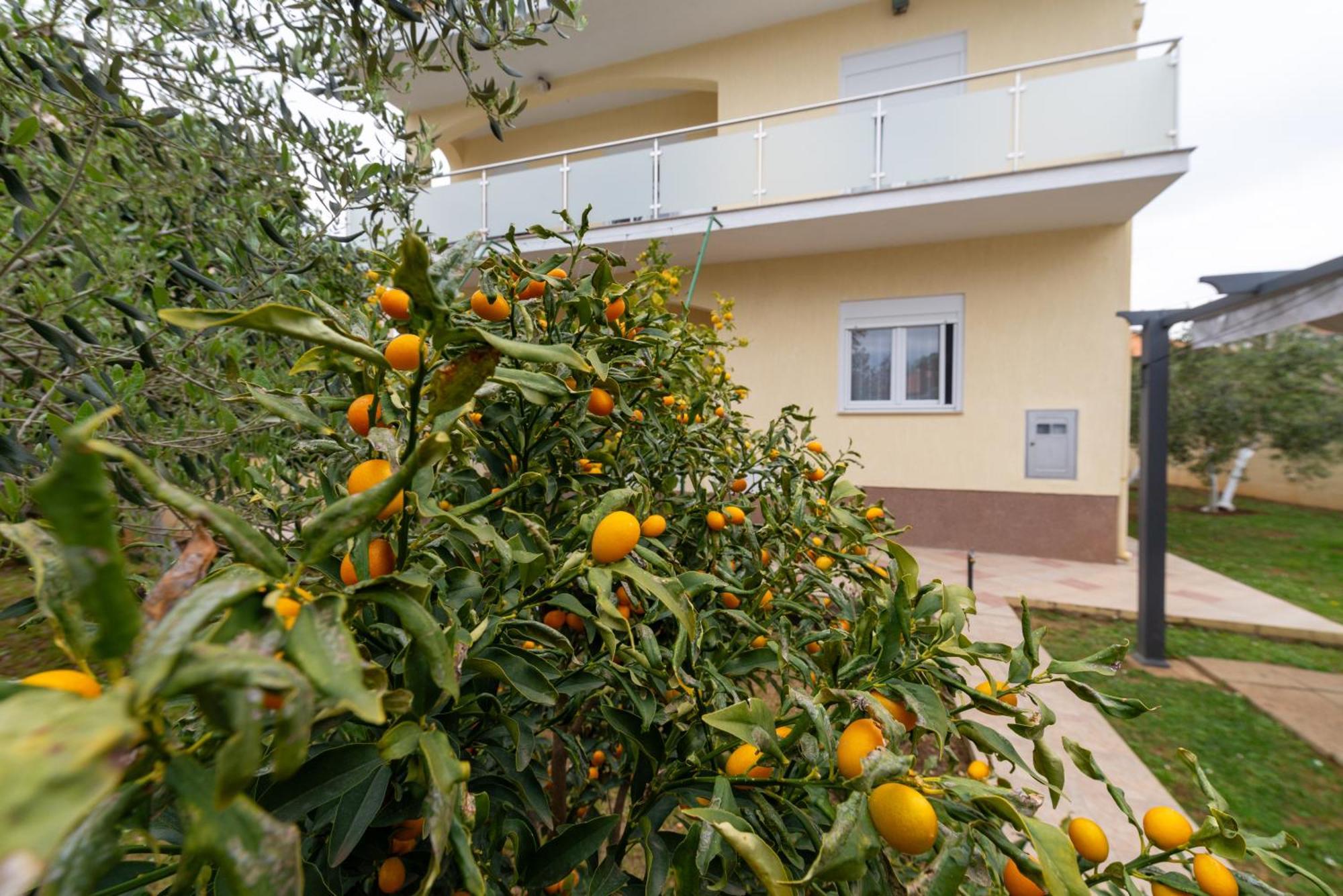 Villa K&F Borik Zadar Exterior foto
