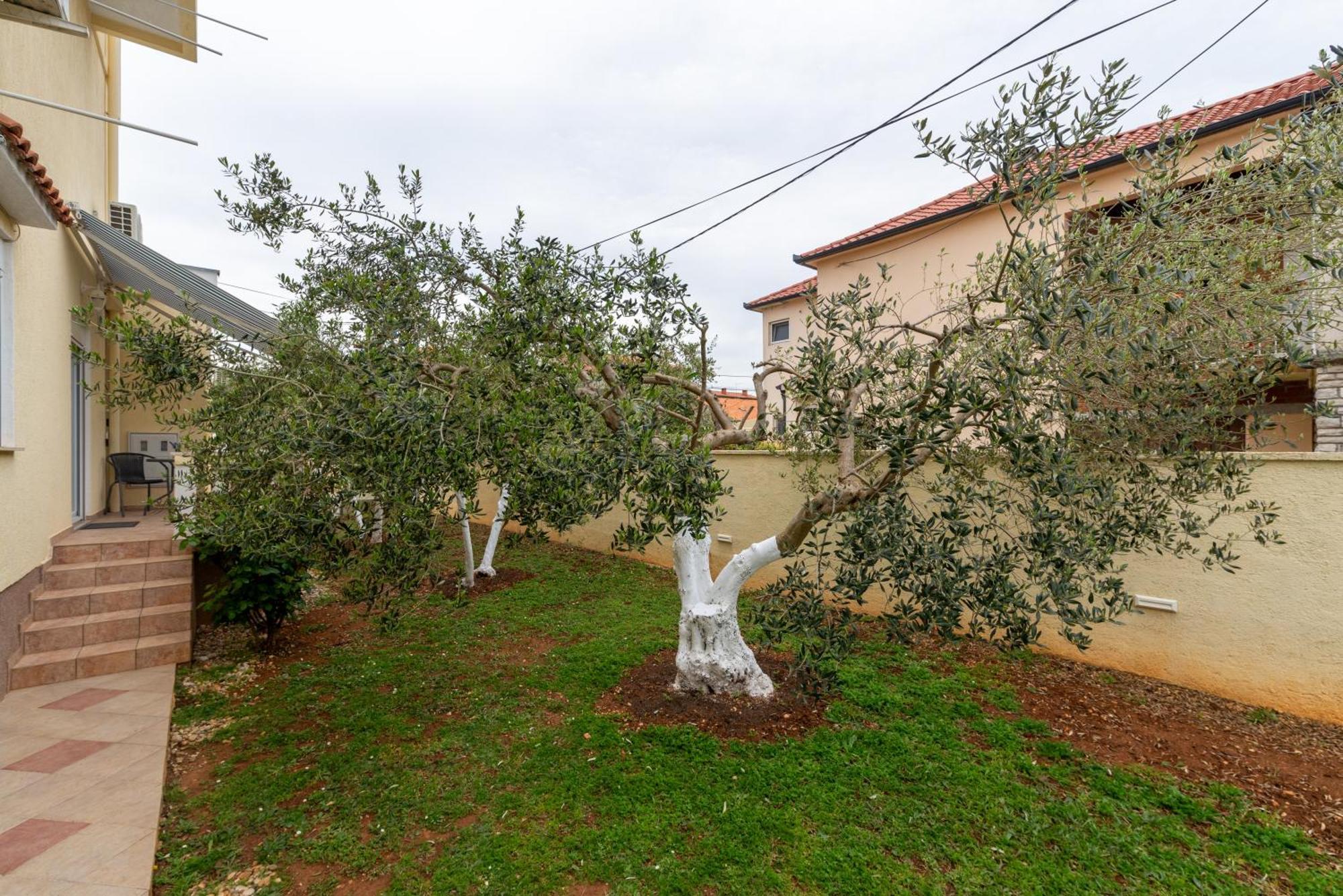 Villa K&F Borik Zadar Exterior foto